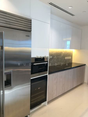 THE RITZ-CARLTON RESIDENCES photo 2