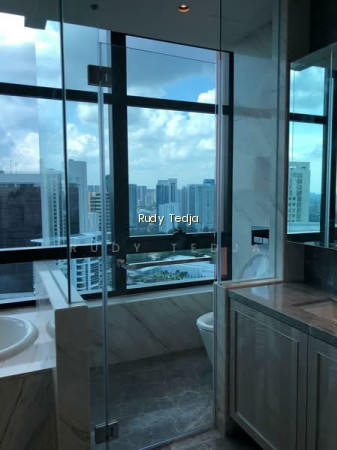 THE RITZ-CARLTON RESIDENCES photo 5
