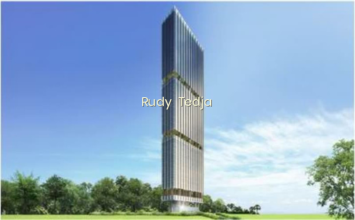 THE RITZ-CARLTON RESIDENCES photo 6