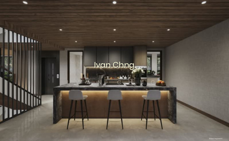 ⭐️⭐️LANDED7772@ BRADDELL SUPER SPACIOUS NEW 4 LEVELS DETACHED HOUSE D13 photo 3