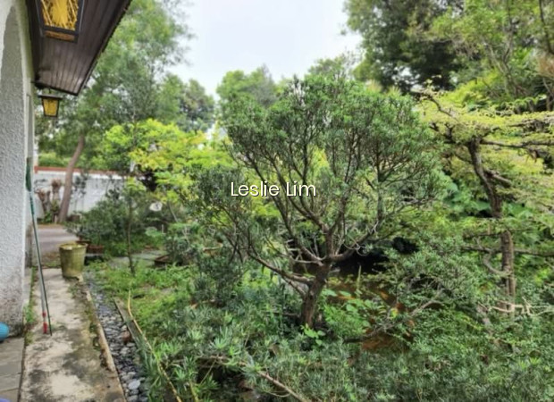 RARE !!! SQUARISH PLOT OF LAND FOR REBUILD,DON’T MISS !!! photo 2