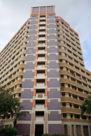 836 JURONG WEST STREET 81 photo 4