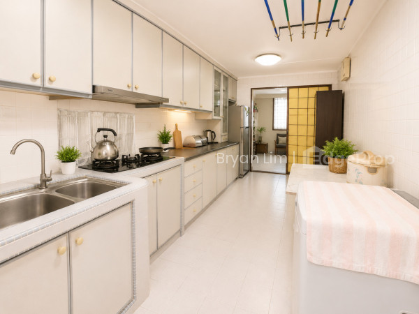 233 SERANGOON AVENUE 3 photo 2