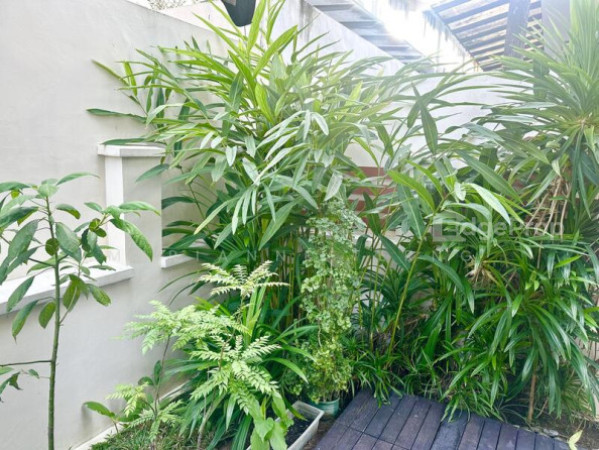 2.5 STOREY CORNER TERRACE @ CHUAN LINK - NEAR SERANGOON GARDEN MARKET photo 3