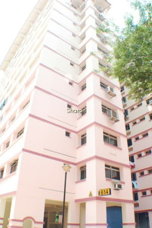 614 CHOA CHU KANG STREET 62 photo 4