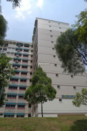 759 PASIR RIS STREET 71 photo 3