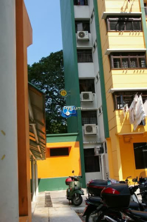 75 WHAMPOA DRIVE photo 6