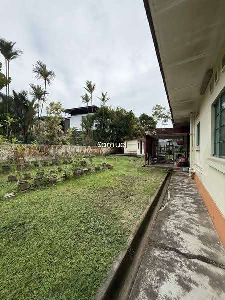 BINJAI PARK photo 6