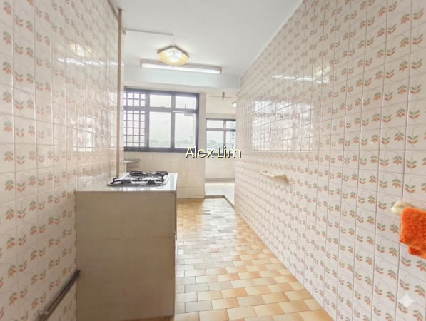44 BENDEMEER ROAD photo 4