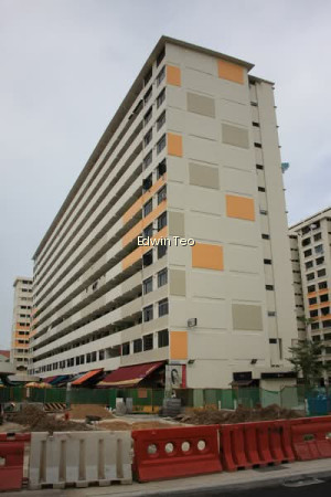 10 HAIG ROAD photo 4