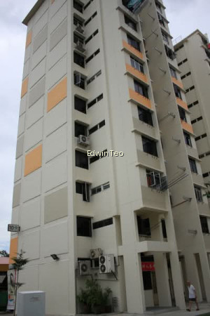 10 HAIG ROAD photo 5