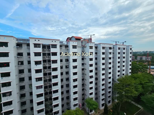 162 MEI LING STREET photo 5