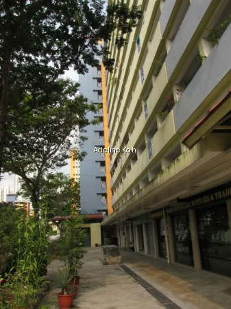 162 MEI LING STREET photo 6