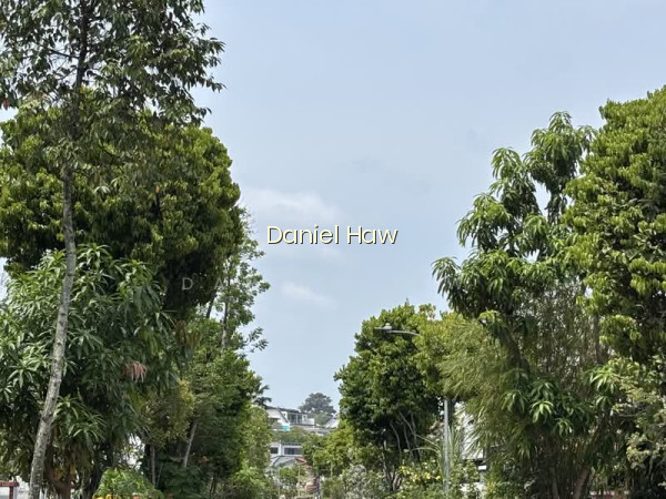 ⭐️⭐️LANDED7772@ MOVE IN CONDITIONS HILLVIEW GDN ESTATE photo 4