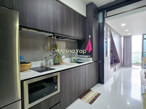 NORTH PARK RESIDENCES photo 2