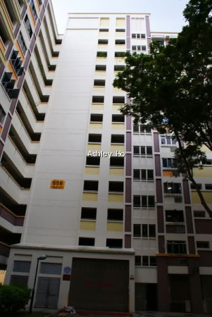 556 CHOA CHU KANG NORTH 6 photo 3