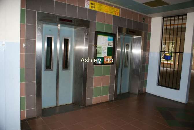 556 CHOA CHU KANG NORTH 6 photo 5