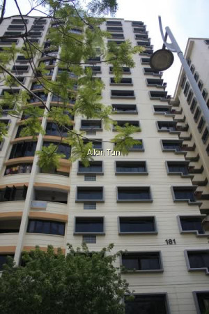 181 YUNG SHENG ROAD photo 5