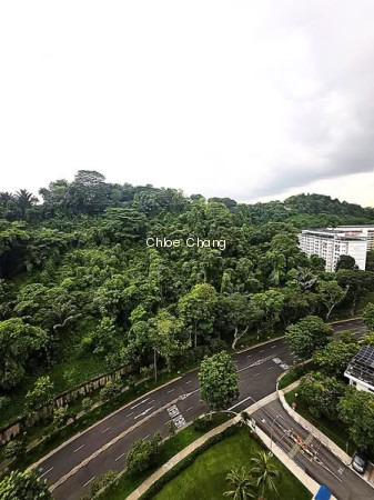 39 TELOK BLANGAH RISE photo 4