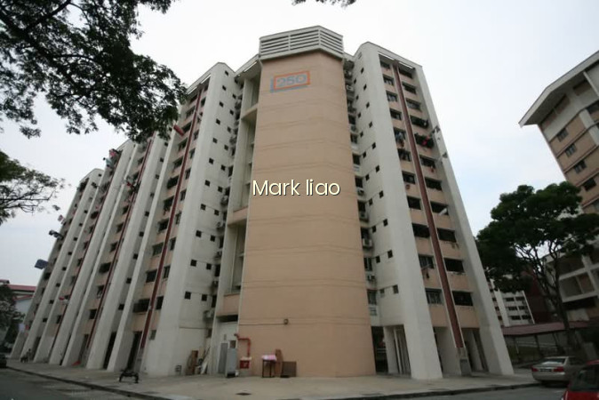 250 JURONG EAST STREET 24 photo 6