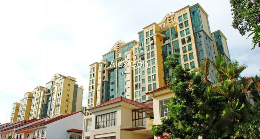 MERAWOODS photo 6