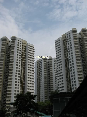 181 JELEBU ROAD photo 5