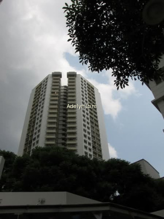 181 JELEBU ROAD photo 6