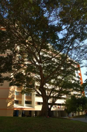 109 TAMPINES STREET 11 photo 6