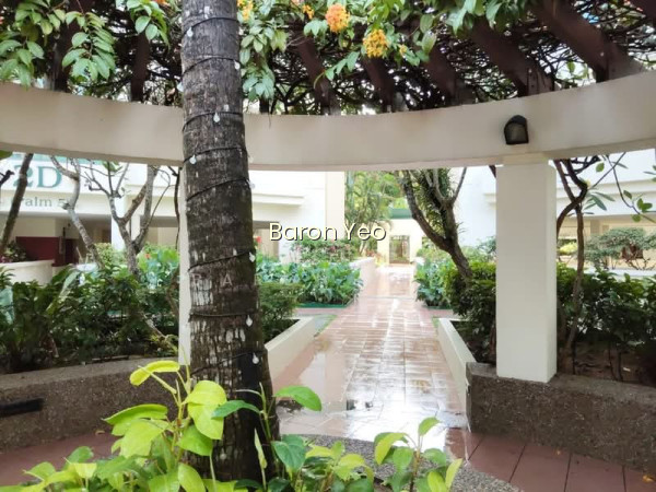 PALM GARDENS photo 6