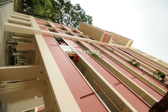 118 TECK WHYE LANE photo 3