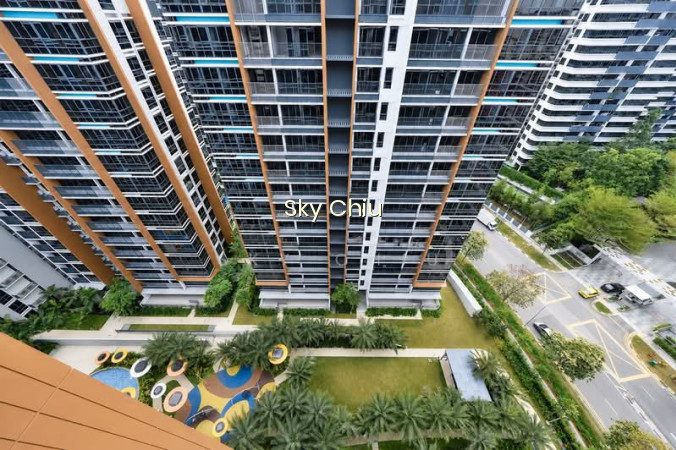 COCO PALMS 5
