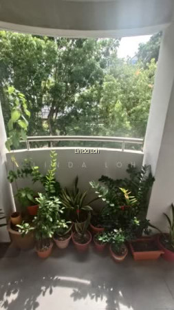 510 JELAPANG ROAD photo 4