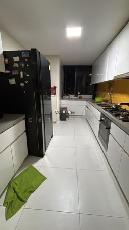 THE INTERLACE photo 5