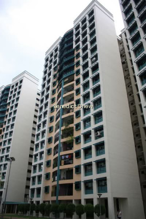 684B JURONG WEST STREET 64 photo 5
