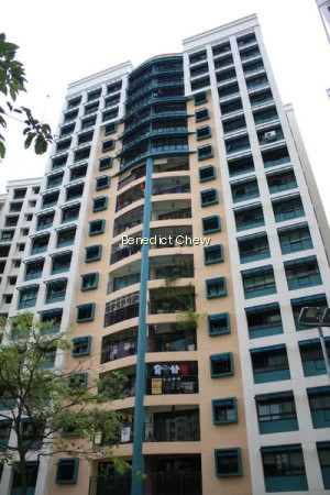 684B JURONG WEST STREET 64 photo 6