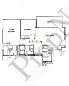 ECO photo 4