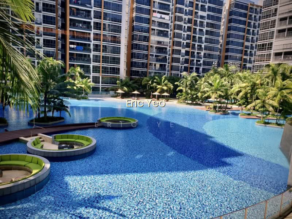 COCO PALMS 7