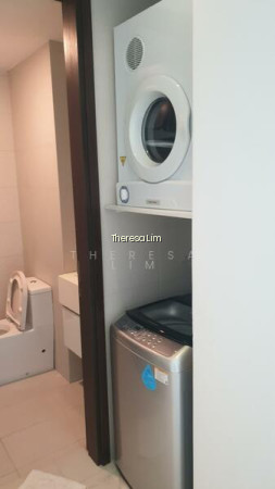 THE ROCHESTER RESIDENCES photo 4