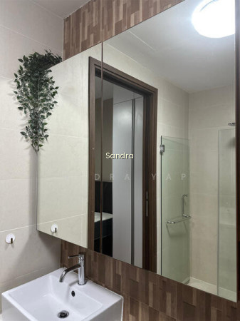 LAUREL TREE 7