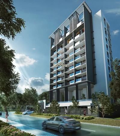 LAUREL TREE 9