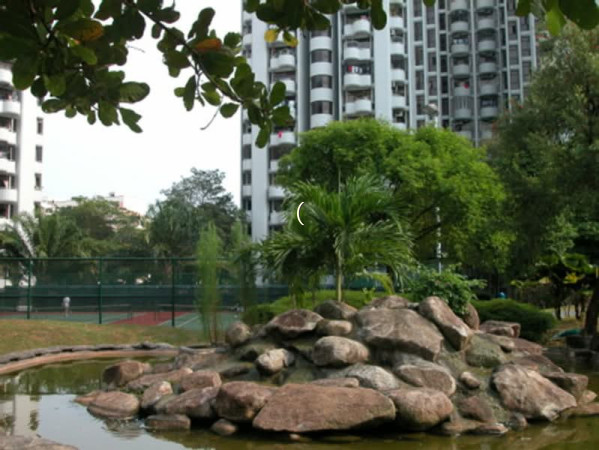 CASHEW HEIGHTS photo 5