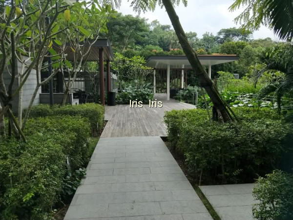 THE SKYWOODS