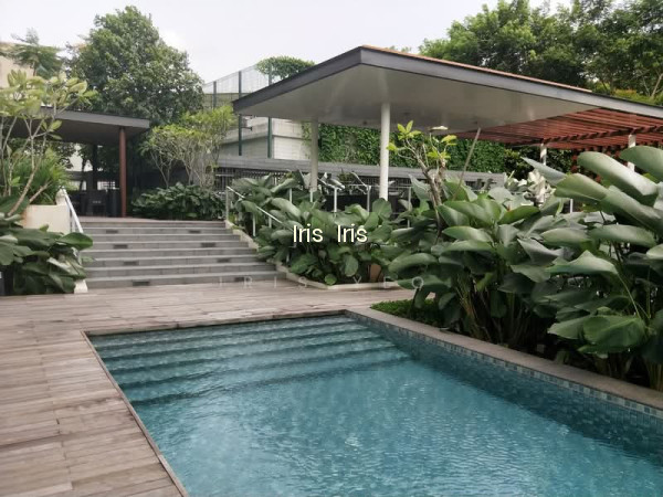 THE SKYWOODS photo 4