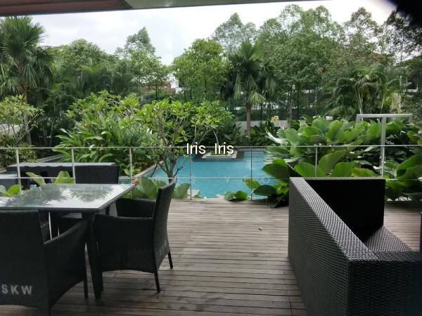 THE SKYWOODS photo 5