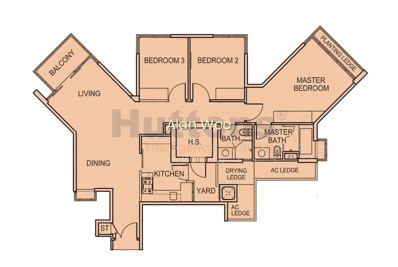 PARK GREEN photo 3