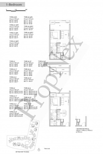 D'NEST photo 2