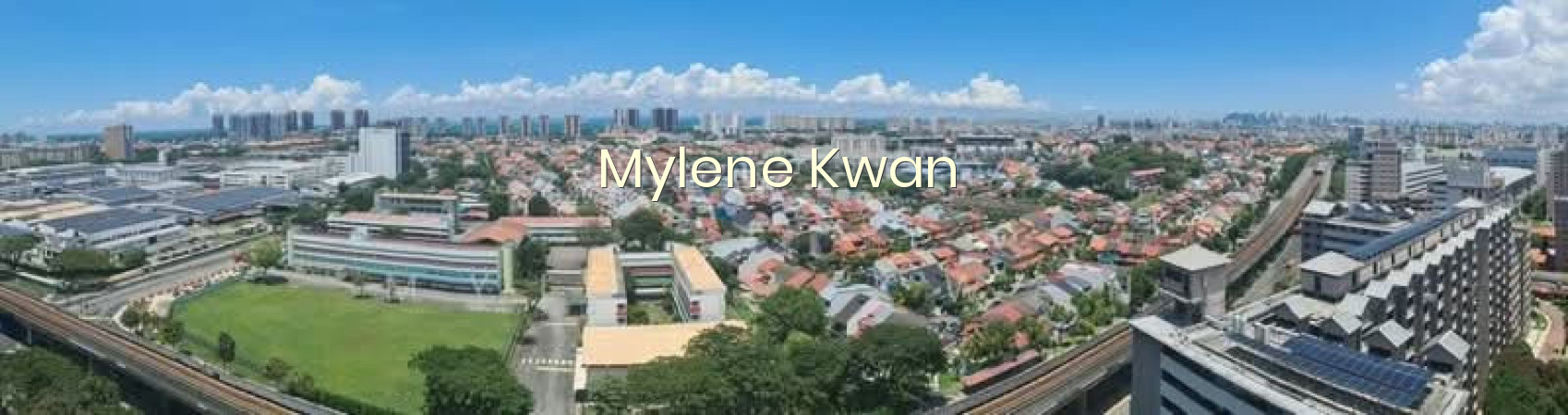 33 CHAI CHEE AVENUE photo 4