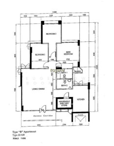 470 SEGAR ROAD photo 4
