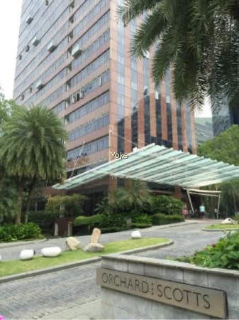 ORCHARD SCOTTS photo 6