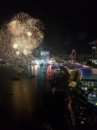 MARINA BAY RESIDENCES photo 6